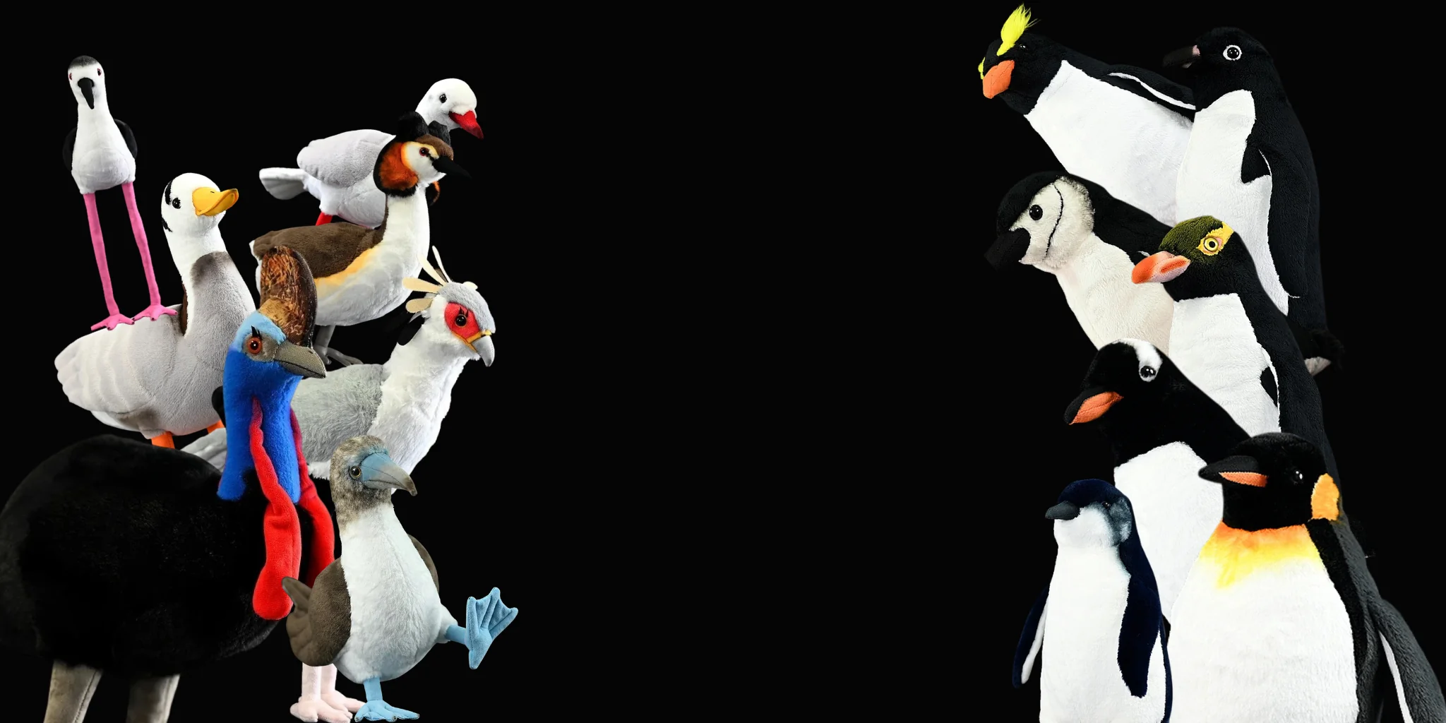 Welcome to Our Store